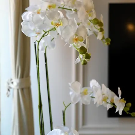 Royal Primera Apartman Zadar