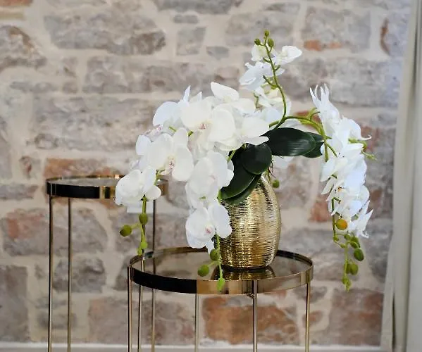 Royal Primera * Zadar