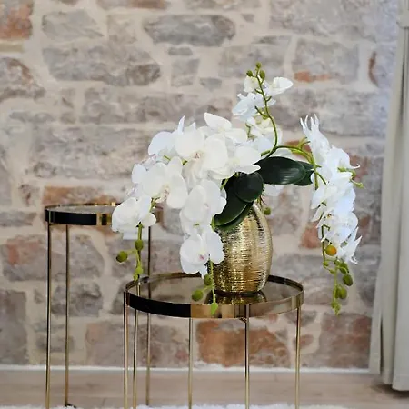 Royal Primera * Zadar