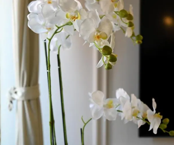 Royal Primera Apartamento Zadar